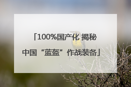 100%国产化 揭秘中国“蓝盔”作战装备