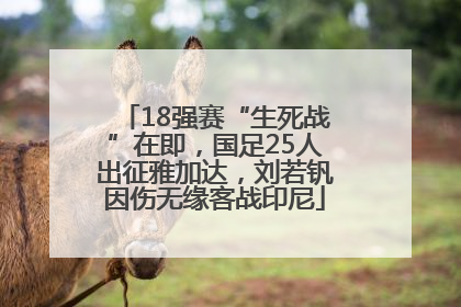 18强赛“生死战”在即，国足25人出征雅加达，刘若钒因伤无缘客战印尼