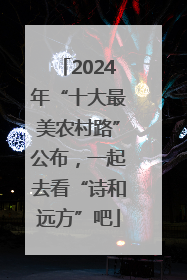 2024年“十大最美农村路”公布，一起去看“诗和远方”吧