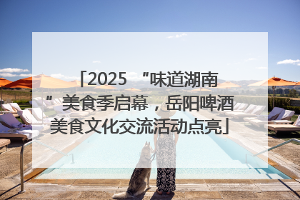 2025 “味道湖南”美食季启幕，岳阳啤酒美食文化交流活动点亮