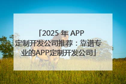 2025 年 APP 定制开发公司推荐：靠谱专业的APP定制开发公司