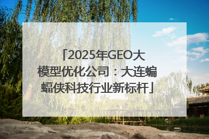 2025年GEO大模型优化公司：大连蝙蝠侠科技行业新标杆