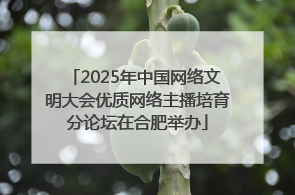 2025年中国网络文明大会优质网络主播培育分论坛在合肥举办