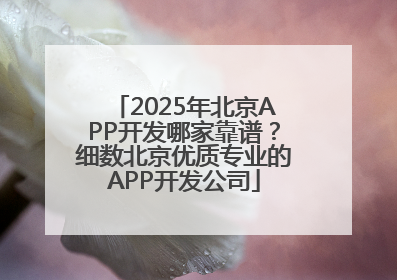 2025年北京APP开发哪家靠谱？细数北京优质专业的APP开发公司
