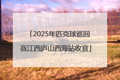2025年匹克球巡回赛江西庐山西海站收官