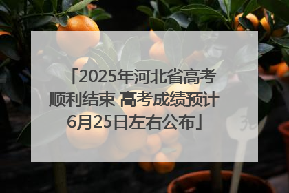 2025年河北省高考顺利结束 高考成绩预计6月25日左右公布