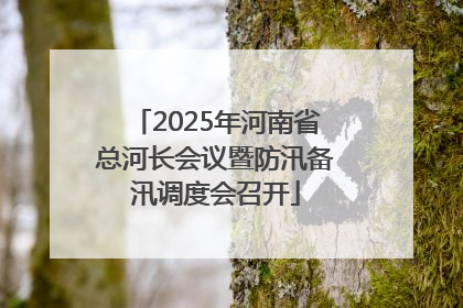 2025年河南省总河长会议暨防汛备汛调度会召开