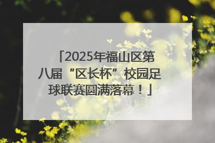 2025年福山区第八届“区长杯”校园足球联赛圆满落幕！