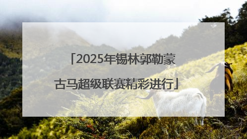 2025年锡林郭勒蒙古马超级联赛精彩进行