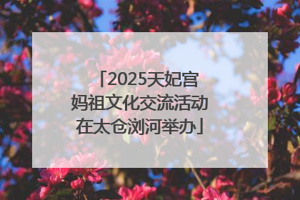 2025天妃宫妈祖文化交流活动在太仓浏河举办