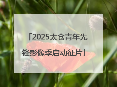 2025太仓青年先锋影像季启动征片