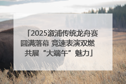 2025溆浦传统龙舟赛圆满落幕 竞速表演双燃 共展“大端午”魅力