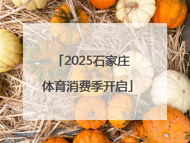 2025石家庄体育消费季开启