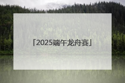 2025端午龙舟赛