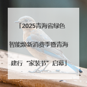 2025青海省绿色智能焕新消费季暨青海建行“家装节”启幕