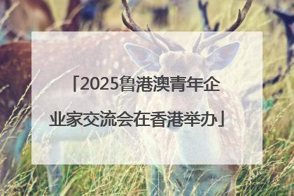 2025鲁港澳青年企业家交流会在香港举办