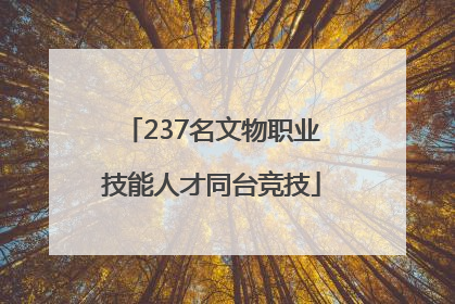 237名文物职业技能人才同台竞技