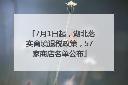 7月1日起，湖北落实离境退税政策，57家商店名单公布