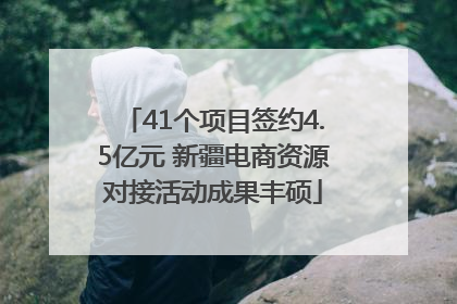 41个项目签约4.5亿元 新疆电商资源对接活动成果丰硕