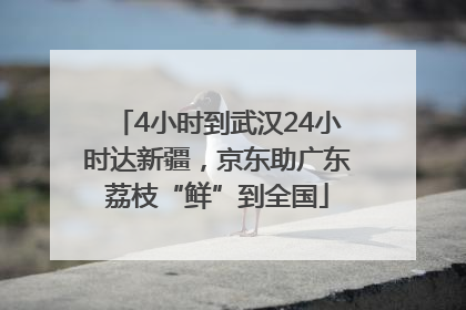 4小时到武汉24小时达新疆，京东助广东荔枝“鲜”到全国