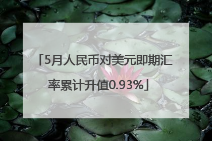 5月人民币对美元即期汇率累计升值0.93%