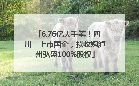 6.76亿大手笔！四川一上市国企，拟收购泸州弘盛100%股权