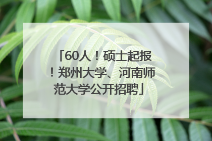 60人！硕士起报！郑州大学、河南师范大学公开招聘