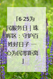6·25为民服务日｜珠晖区：守护百姓好日子 一心为民零距离