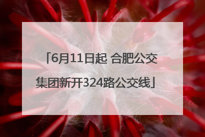 6月11日起 合肥公交集团新开324路公交线