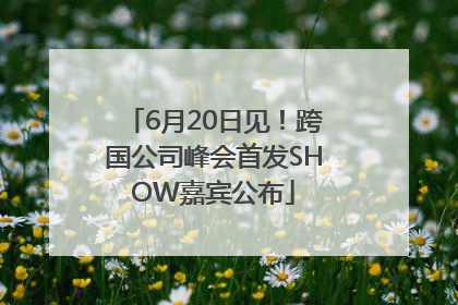6月20日见！跨国公司峰会首发SHOW嘉宾公布