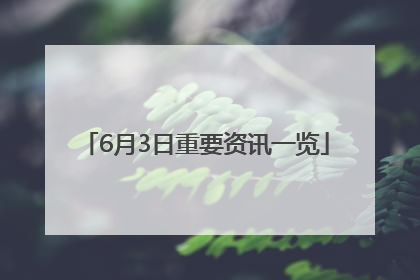 6月3日重要资讯一览