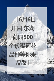 6月6日开园 东湖荷园500个珍稀荷花品种等你来品鉴