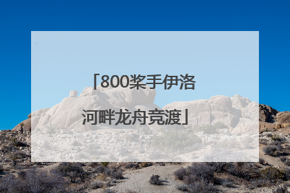 800桨手伊洛河畔龙舟竞渡