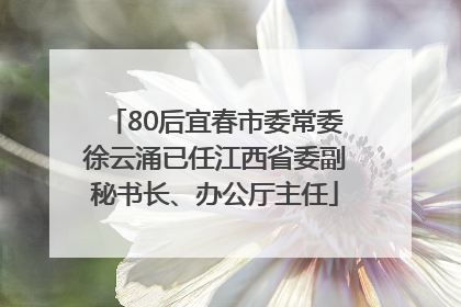 80后宜春市委常委徐云涌已任江西省委副秘书长、办公厅主任