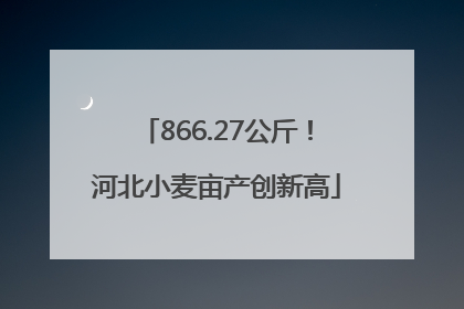 866.27公斤！河北小麦亩产创新高