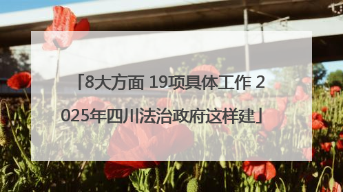 8大方面 19项具体工作 2025年四川法治政府这样建