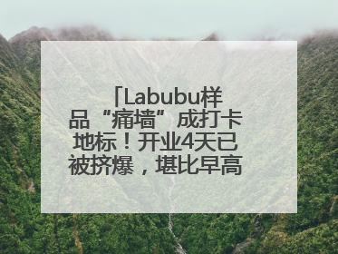 Labubu样品“痛墙”成打卡地标！开业4天已被挤爆，堪比早高峰菜市场