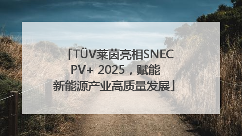 TÜV莱茵亮相SNEC PV+ 2025，赋能新能源产业高质量发展